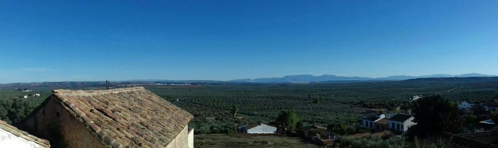Casa Rural Verde Oliva Baños de la Encina Dış mekan fotoğraf